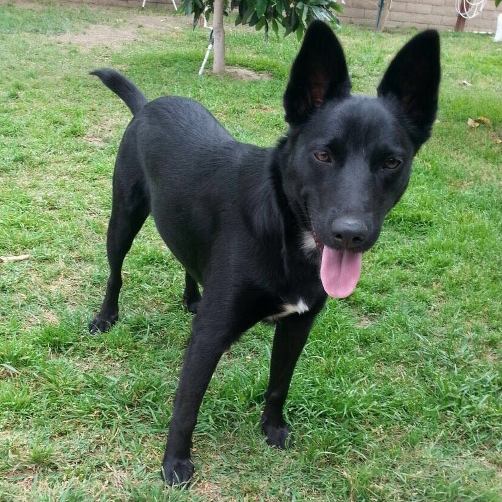 Meet your Posher, Lana